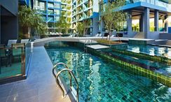 Фото 3 of the Communal Pool at Acqua Condo