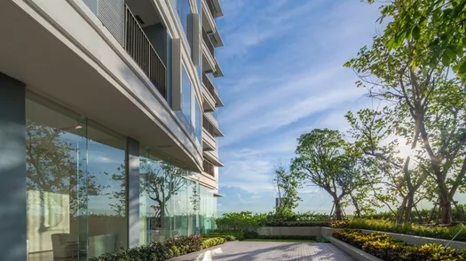 写真 1 of the Communal Garden Area at The Saint Residences