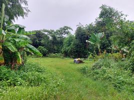  Grundstück zu verkaufen in Mueang Chiang Rai, Chiang Rai, Ban Du