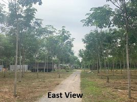  Land for sale in Phangnga, Khok Kloi, Takua Thung, Phangnga