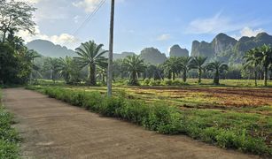 Nong Thale, Krabi တွင် N/A မြေ ရောင်းရန်အတွက်