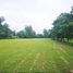  Land for sale in Hang Dong, Chiang Mai, Nam Phrae, Hang Dong