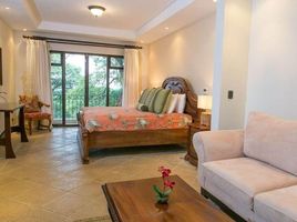 2 Bedroom Condo for sale at Manuel Antonio, Aguirre, Puntarenas