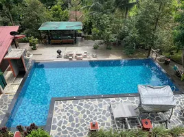 ขายโรงแรม 6 ห้องนอน ใน เกาะสมุย สุราษฎร์ธานี, ลิปะน้อย, เกาะสมุย, สุราษฎร์ธานี, ไทย