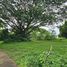  Land for sale in AsiaVillas, Don Kaeo, Mae Rim, Chiang Mai, Thailand