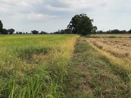  Grundstück zu verkaufen in Ban Mi, Lop Buri, Bang Phueng