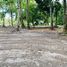  Land for sale in Trat, Ko Chang, Ko Chang, Trat