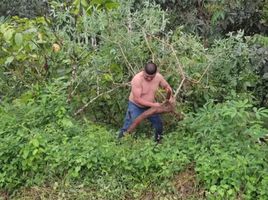  Grundstück zu verkaufen in Pedro Vicente Maldonado, Pichincha, Pedro Vicente Maldonado, Pedro Vicente Maldonado