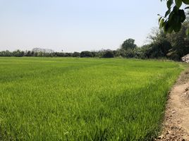  Grundstück zu verkaufen in Mae Rim, Chiang Mai, Khi Lek