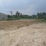  Land for sale in Thap Luang, Mueang Nakhon Pathom, Thap Luang