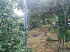  Land for sale in Surat Thani, Ko Pha-Ngan, Ko Pha-Ngan, Surat Thani