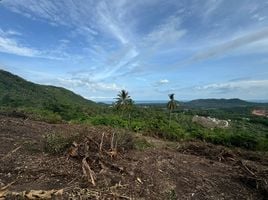  Grundstück zu verkaufen in Koh Samui, Surat Thani, Na Mueang