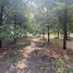  Land for sale in Wan Yao, Chanthaburi, Wan Yao, Khlung, Chanthaburi