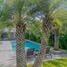 3 Bedroom Villa for rent in Phuket, Rawai, Phuket Town, Phuket