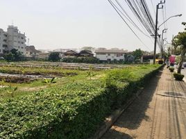  Land for sale in Pororo AquaPark Bangkok, Bang Na, Bang Na