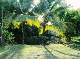  Land for sale in Thailand, Khi Lek, Mae Taeng, Chiang Mai, Thailand