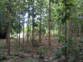  Land for sale in Fai Kaeo, Phu Phiang, Fai Kaeo