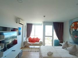 Studio Wohnung zu vermieten im Ozone Condotel, Karon, Phuket Town