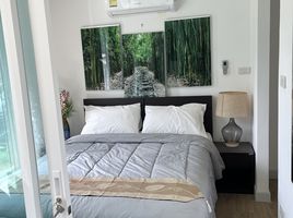 14 Bedroom Hotel for sale in Kathu, Phuket, Kamala, Kathu