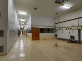  Warehouse for rent in Thailand, Pa Phai, San Sai, Chiang Mai, Thailand