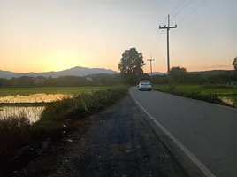  Grundstück zu verkaufen in Mae Rim, Chiang Mai, San Pong, Mae Rim
