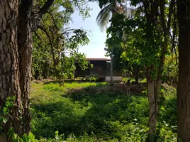  Land for sale in Tha Sak, Phichai, Tha Sak