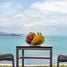 2 Bedroom Apartment for rent in Bo Phut, Surat Thani, Bo Phut, Koh Samui, Surat Thani