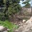 Land for sale in Koh Phangan, Surat Thani, Koh Phangan, Koh Phangan