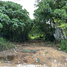  Land for sale in Ao Nang, Krabi, Ao Nang, Mueang Krabi