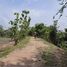  Land for sale in Ratchaburi, Pak Chong, Chom Bueng, Ratchaburi