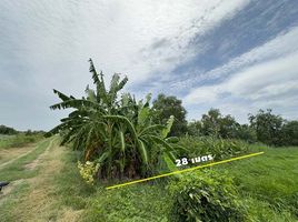  Land for sale in Bangkok, Sam Wa Tawan Ok, Khlong Sam Wa, Bangkok