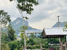  Grundstück zu verkaufen in Mueang Krabi, Krabi, Ao Nang, Mueang Krabi