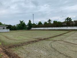  Land for sale in Chiang Mai, Buak Khang, San Kamphaeng, Chiang Mai