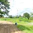  Grundstück zu verkaufen in Takhli, Nakhon Sawan, Chong Khae, Takhli, Nakhon Sawan
