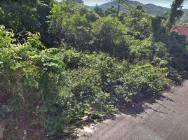  Land for sale in Central Festival Samui, Bo Phut, Bo Phut