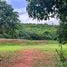  Land for sale in Pak Nam Pran, Pran Buri, Pak Nam Pran