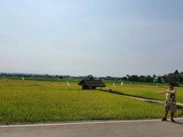  Земельный участок for sale in Wiang Pa Pao, Чианг Рай, Mae Chedi, Wiang Pa Pao