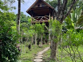  Grundstück zu verkaufen in Ko Yao, Phangnga, Ko Yao Noi