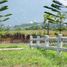  Land for sale in Phetchabun, Khaem Son, Khao Kho, Phetchabun