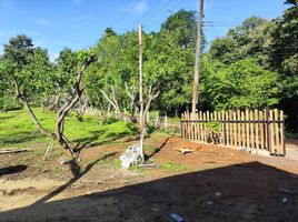 1 Bedroom House for sale in Pa Miang, Doi Saket, Pa Miang