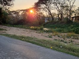  Grundstück zu verkaufen in Mae Rim, Chiang Mai, Huai Sai, Mae Rim