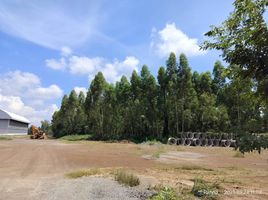  Grundstück zu verkaufen in Si Maha Phot, Prachin Buri, Si Maha Phot