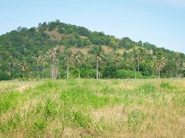  Land for sale in Wang Phong, Pran Buri, Wang Phong