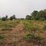  Land for sale in Mueang Udon Thani, Udon Thani, Na Di, Mueang Udon Thani