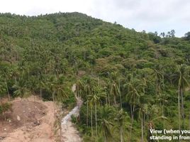  Land for sale in Chaweng Beach, Bo Phut, Bo Phut