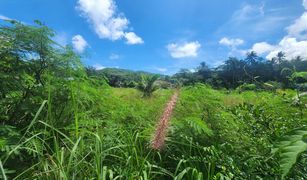 N/A Land for sale in Chalong, Phuket 