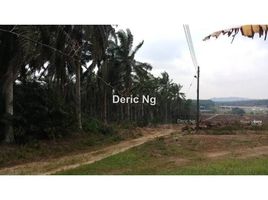  Land for sale in Kulaijaya, Johor, Senai, Kulaijaya