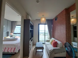 Studio Apartment for rent at Dlux Condominium , Chalong