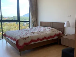 2 Schlafzimmer Appartement zu vermieten im Phuphatara Khaoyai, Mu Si, Pak Chong, Nakhon Ratchasima