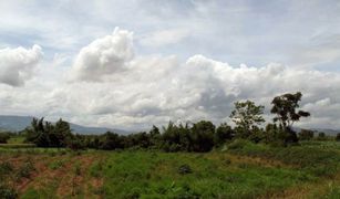 N/A Grundstück zu verkaufen in Wiang, Chiang Rai 